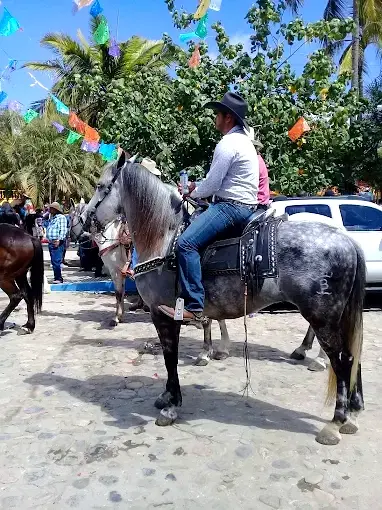 A vaquero on horseback parades through town — a vibrant scene of heritage and color within a holistic wellness retreat.