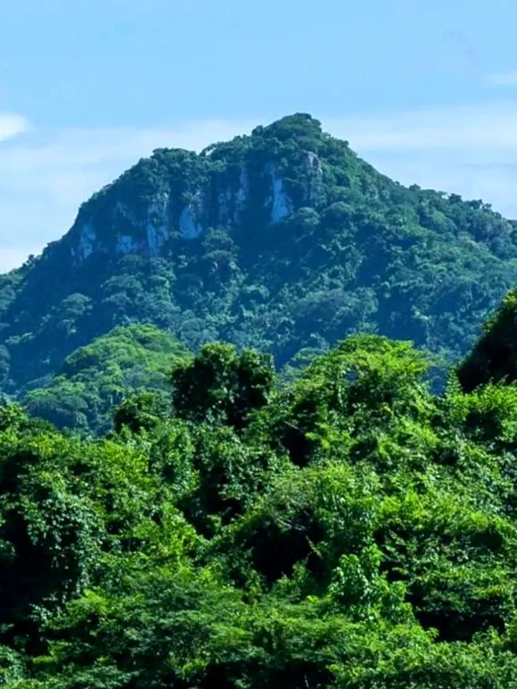 Desde la cima de Monkey Mountain se despliega el oasis de Riviera Nayarit — crestas boscosas se encuentran con el horizonte azul en una vista de equilibrio natural.