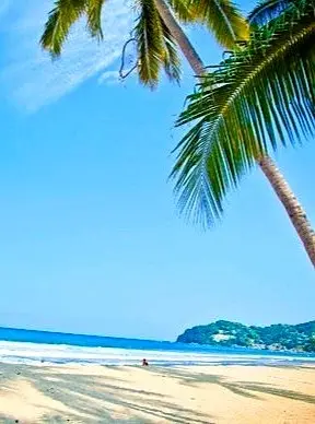 Quiet white-sand beach and calm blue water on the Pacific coast near Sayulita, Nayarit