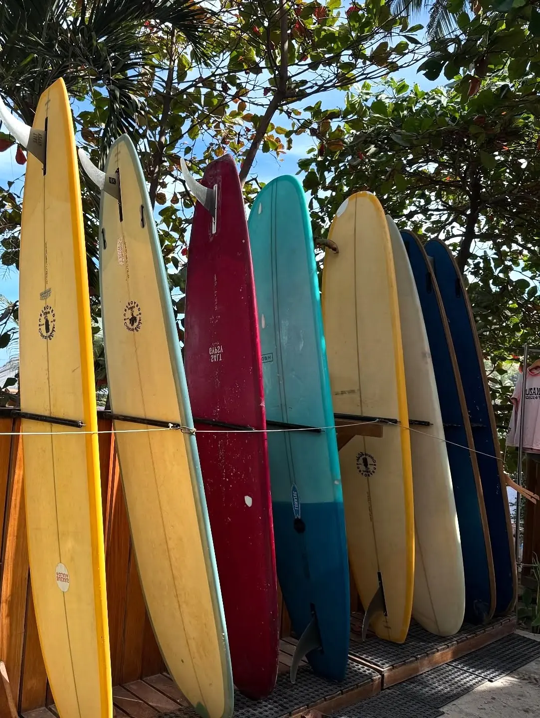 Bright boards lean against palms under morning light—Sayulita’s surf culture alive on the Riviera Nayarit Seaside Culture.