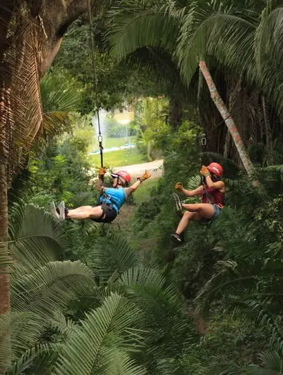 Riders zip through lush canopy on a low-risk eco-adventure balancing fun and safety across the Nayarit Pacific Coastline’s green hills.