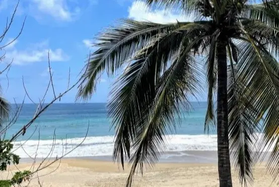 Golden sunlight warms the sand as families wander Playa Norte—peaceful moments unfolding along the Nayarit Pacific Coastline bathed in evening light.