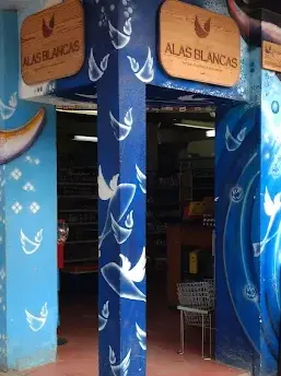 A colorful blue storefront with hand-painted bird designs frames the entrance of a small shop, showing part of the interior and shopping baskets.