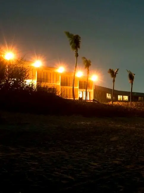 Las luces brillantes de la playa desorientan a las tortugas que anidan, bloqueando el resplandor de la luna que antes las guiaba de manera segura por la arena de regreso al océano.