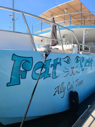 A catamaran docked along the Riviera Nayarit shoreline shows its deck and seating while waiting for passengers near the marina under clear weather.