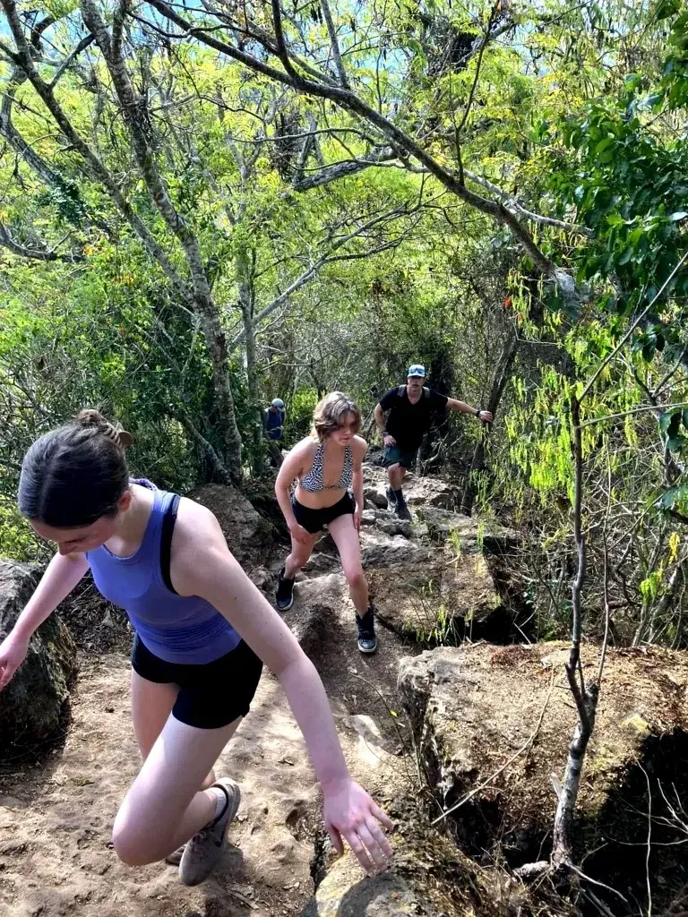 Hikers follow a lush coastal path where cliffs and flora meet the sea — a restorative journey through a nature-immersed hideaway.