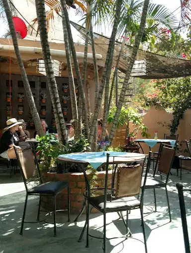 Shaded garden bar in Sayulita with palm trees, outdoor tables, and guests enjoying drinks at a corner patio surrounded by plants.
