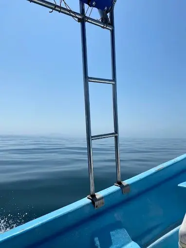 A small boat moves across glassy water near the Nayarit Coast, with a ladder along its side and a clear horizon visible ahead on an even surface.