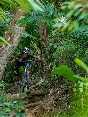 Small group enjoying a guided jungle hike near Sayulita, moving comfortably along shaded trails with a local guide at a relaxed pace.