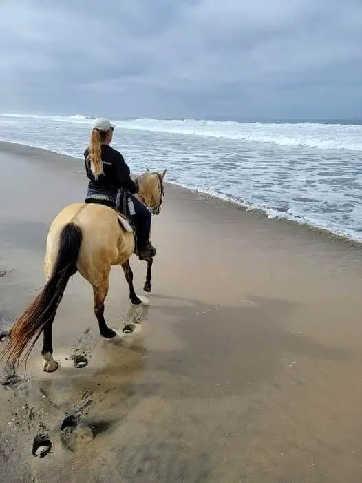 A rider follows the soft-water edge under pale morning clouds, enjoying the quiet shoreline just beyond Sayulita’s lively beach paths.
