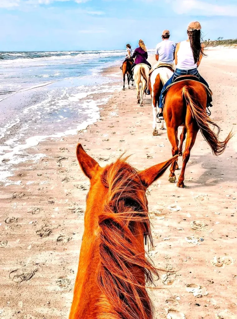 From the saddle, riders follow the tideline toward a quiet north-shore hideaway where sunlight and sea air frame Riviera Nayarit’s peaceful beauty.