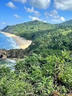 Scenic viewpoint along a jungle hiking trail, where lush hills open to coastal views along the Pacific coast of Nayarit.