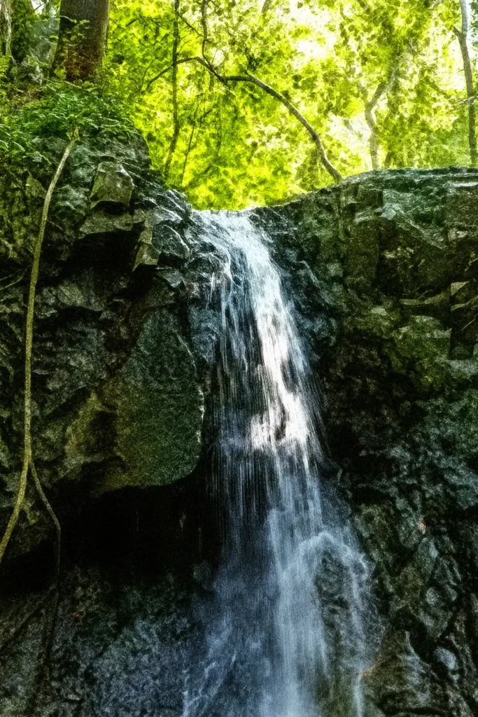 A hidden waterfall echoes through the rainforest — a timeless lovers’ haven inside a design-led coastal hideaway.