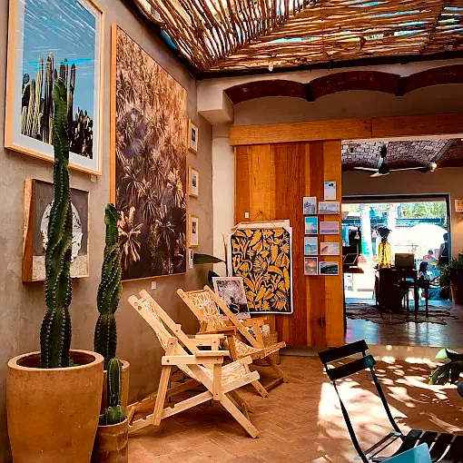 La luz del sol se filtra a través de un techo tejido en La Barrita, iluminando cactus y sillas de madera que forman un rincón tranquilo y distintivo en este café de Sayulita.