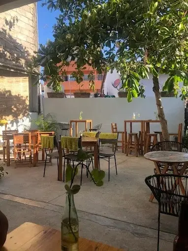 Patio bar in Sayulita with wooden tables, leafy shade, and seating for drinks and soft background music.