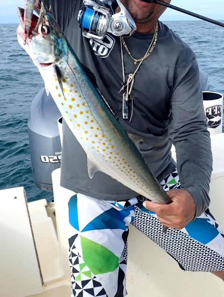 A Pacific Sierra mackerel is held after a quick light-tackle fight—a commonly caught species near Sayulita’s coastal waters.