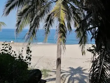 Palms sway above Malpaso’s golden sands and clear Pacific water—sunlight glinting across this serene retreat on the Riviera Nayarit.