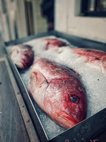 Whole red fish rest in a metal seafood tray, their bright scales and clear eyes visible in a close-up view highlighting freshness and color.
