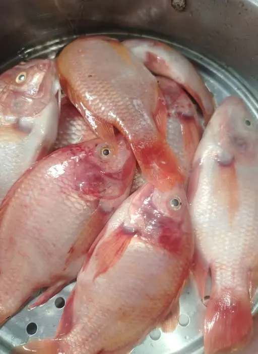 Several whole fish with pink and red coloring are arranged in a metal tray, their scales and fins visible to show freshness and natural detail.