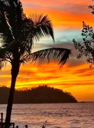 Palm silhouettes sway beside glowing orange clouds as the sun sinks, creating a peaceful golden evening that captures the warmth of a Pacific sunset.