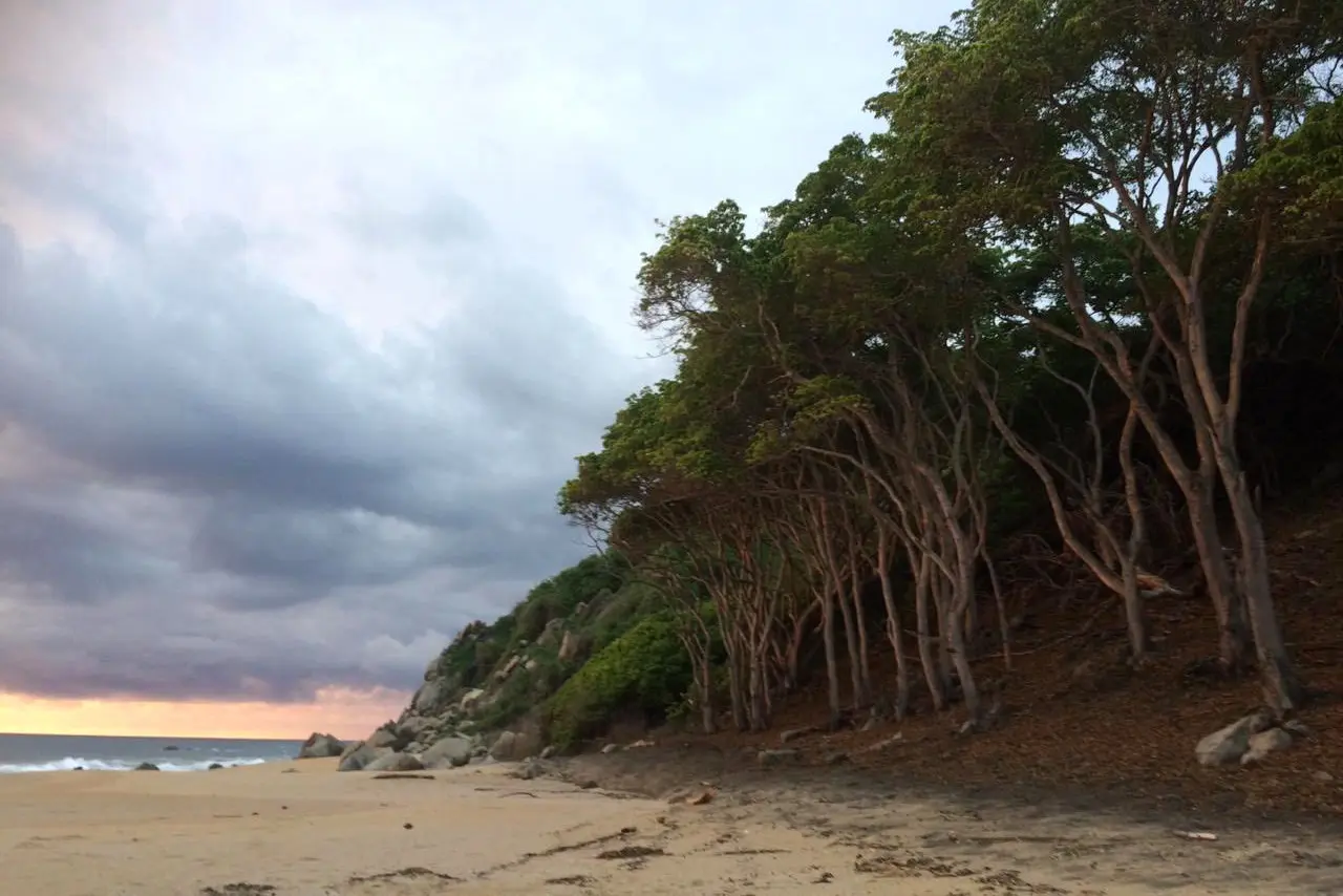 Rose-gold light settles over Patzcuarito’s shore beside Amari’s premier spa resort—a romantic pause along the Riviera Nayarit Luxury Coast.