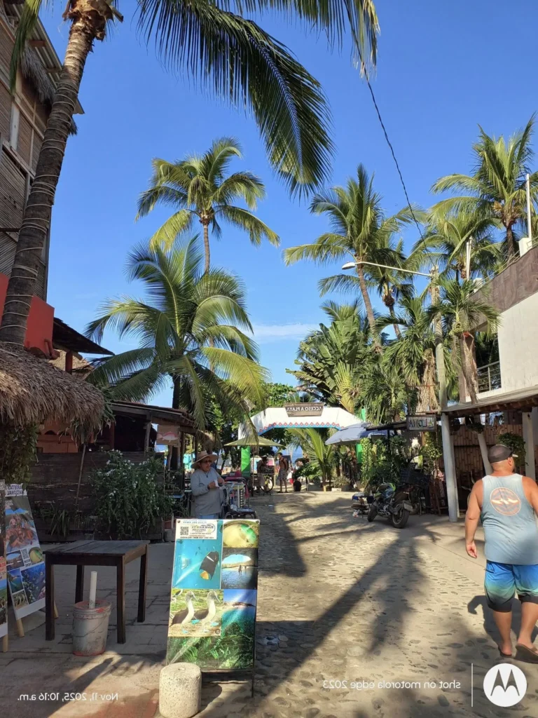 Palm-lined cobblestone street leading toward the beach with shops, capturing the atmosphere of local stores where travelers may use cash or cards.