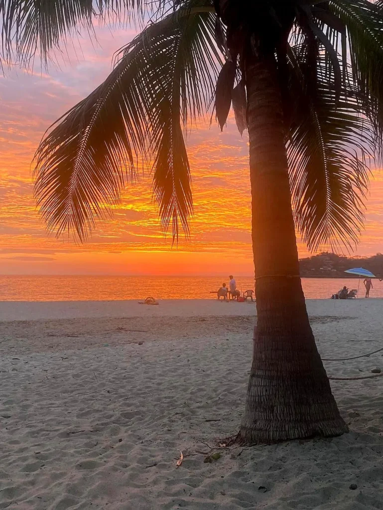 A vivid sunset glows beyond a tall palm as beachgoers relax by the water, creating a gentle shoreline moment with a warm coastal retreat feel.