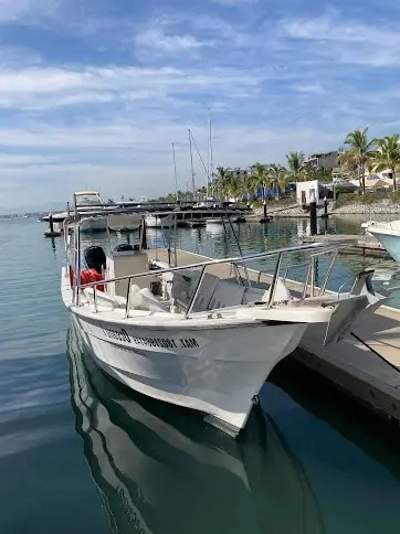 A small boat sits docked at the marina for a dolphin-watching tour as reflections move against the hull beside palm trees lining the shore.