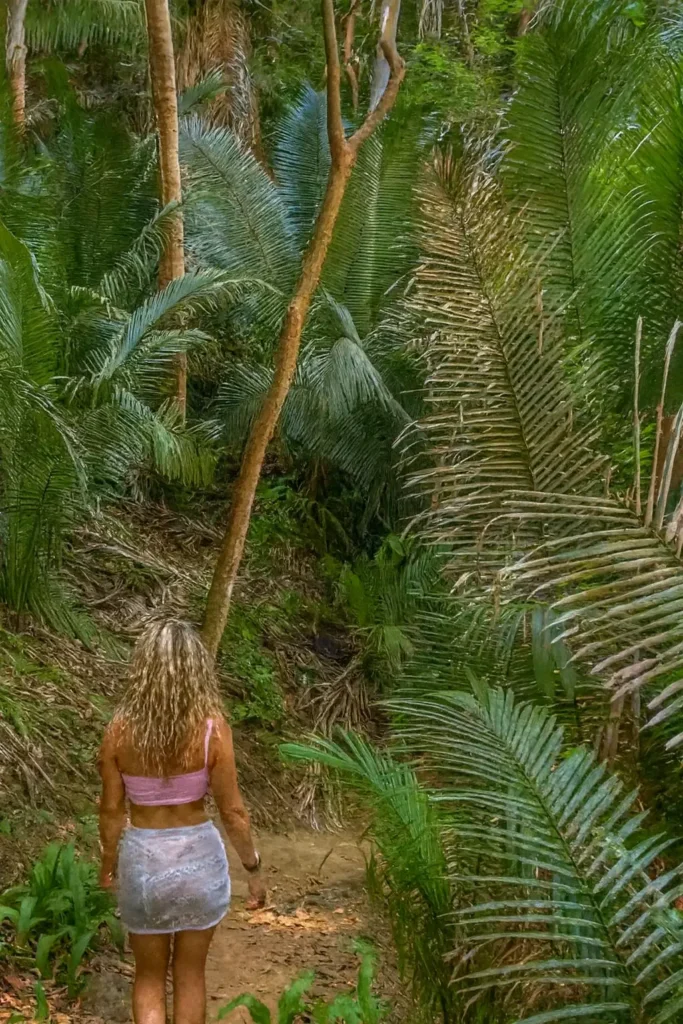 Una viajera camina por un sendero tranquilo en la jungla, rodeada de palmeras, un momento inspirador que refleja el espíritu seguro y acogedor de Sayulita para mujeres que viajan solas.