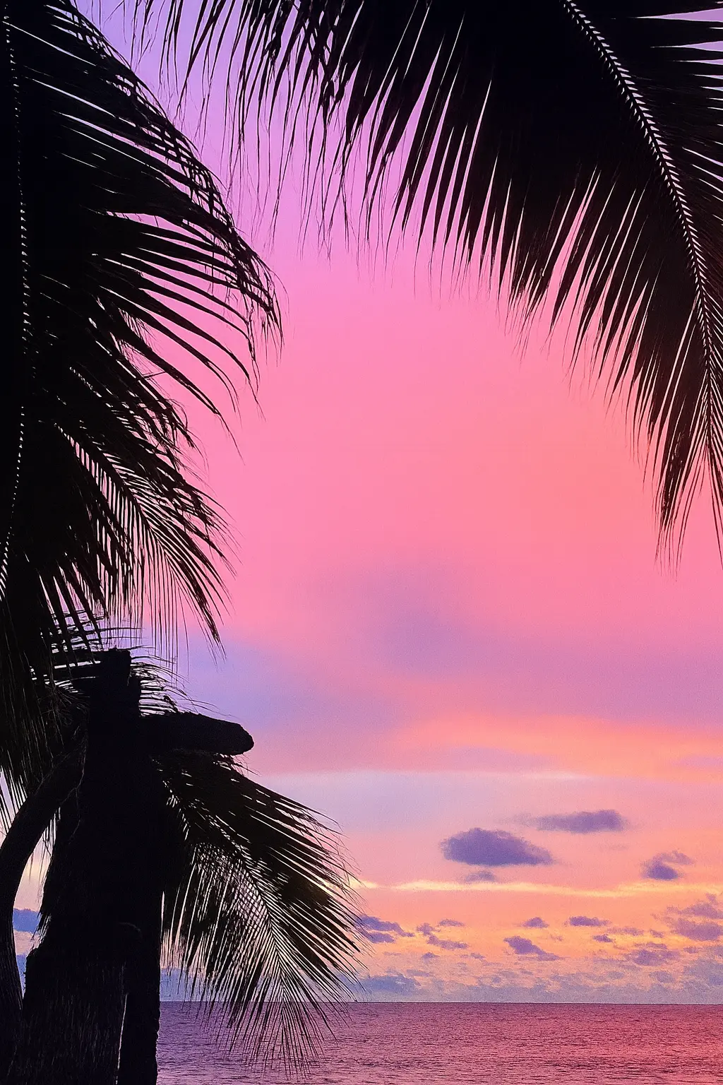 La luz del atardecer tiñe el cielo mientras los visitantes disfrutan cócteles relajados junto al mar, entre palmeras y calma.