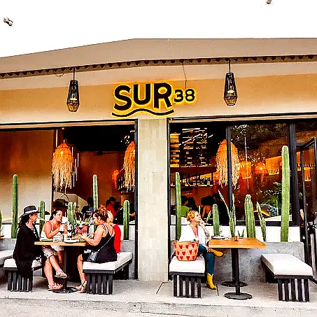 Los visitantes se relajan en mesas al aire libre en Sur38, rodeados de cactus altos y una decoración moderna que crea un ambiente de café refinado y acogedor en Sayulita.