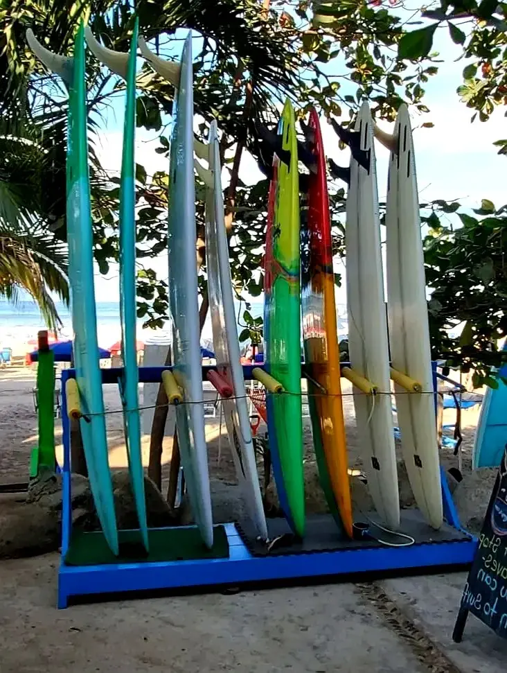 Surfboards lean beneath palms along the coast — capturing the free-spirited energy of this surf town and a Sayulita boutique hotel.