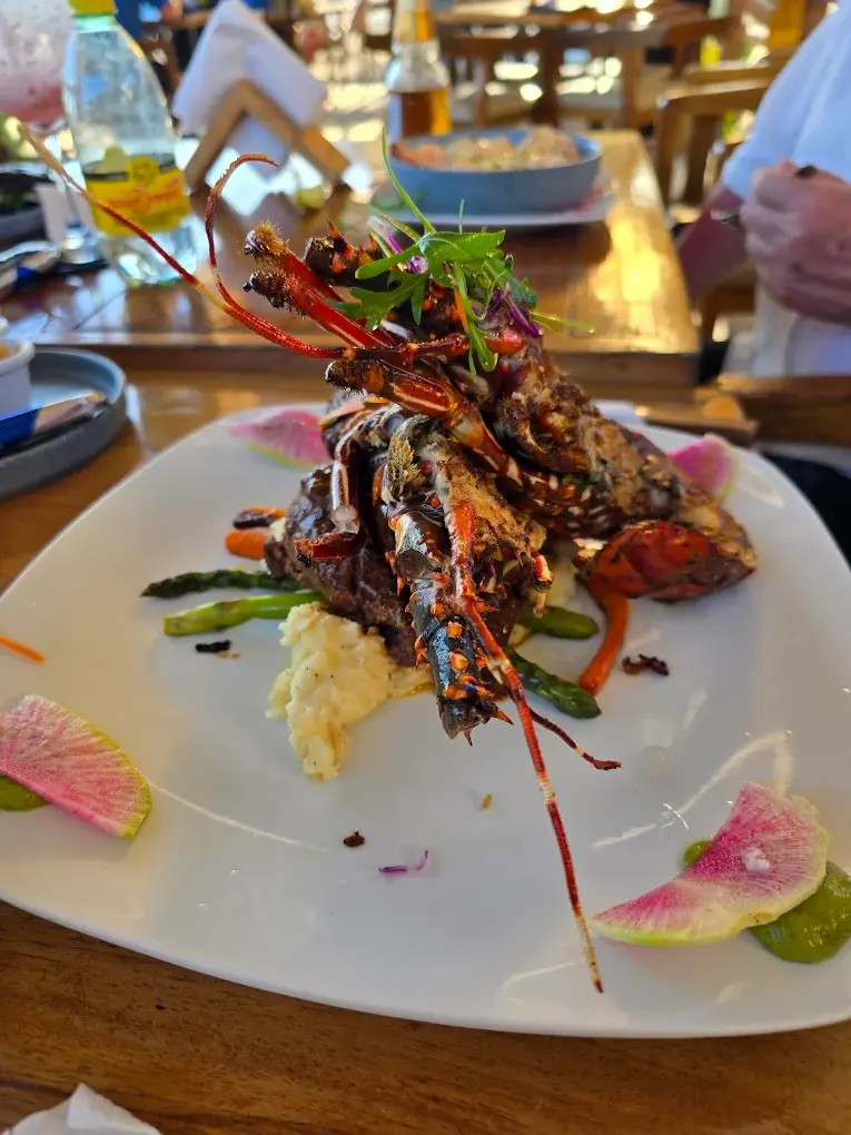 Grilled lobster at The Dock with vegetables and mashed potatoes, combining beachside seafood with a subtle Mediterranean influence.