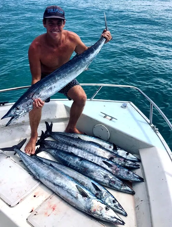 Several wahoo lie across a panga bow, their streamlined bodies showing the fast, high-energy offshore action found near Sayulita’s open waters.
