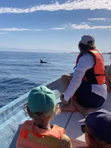 People on a small boat watch a distant dolphin near Sayulita as reflections spread across open water, creating a basic wildlife viewing moment.