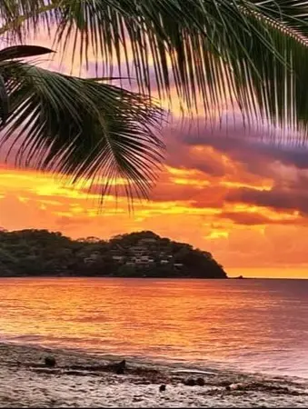 Palm fronds frame an orange-pink sunset over calm ocean water on the Costa Banderas, with a dark headland and sandy shore below.