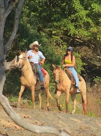 Couple horseback riding along a shaded jungle trail, enjoying a calm guided adventure, dappled light, and fresh greenery in the Punta de Mita region.