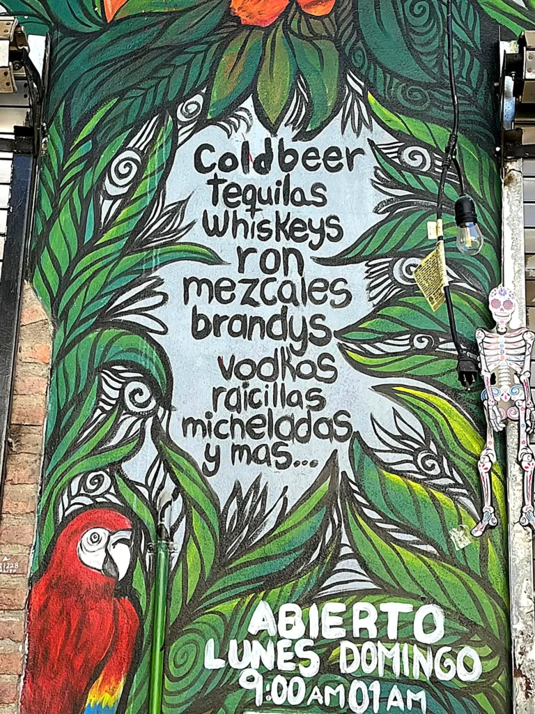 Hand-painted bar sign lists tequila, mezcal, and raicilla, framed by tropical leaves and a red macaw, capturing coastal nightlife charm.