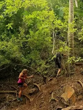 Hikers climbing a lush jungle trail with roots and palms, savoring an adventurous walk, birdsong, and fresh green scenery on Nayarit’s Pacific coast.