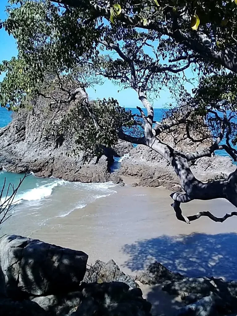 A small sandy cove below rocky cliffs and leafy branches meets gentle surf under blue skies near Playa Los Muertos in Sayulita, Mexico.