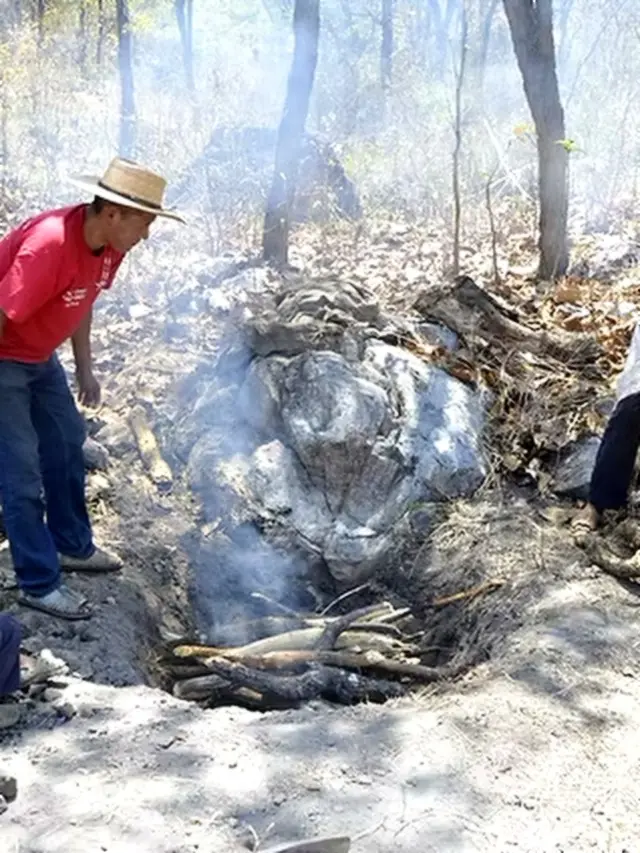 A pit-roasting scene with smoke, stone, and wood, showcasing time-honored raicilla craft and slow methods shaped by earth and fire.