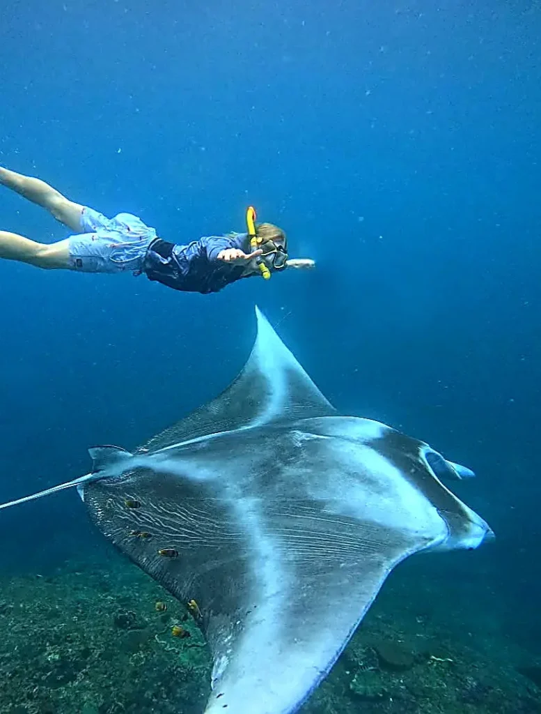 Snorkeler floating above a large manta ray gliding through deep blue water, captured mid-encounter in clear open sea.