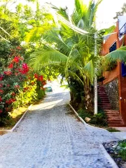 Cobblestone street lined with tropical vegetation and hillside homes in the Gringo Hill neighborhood.