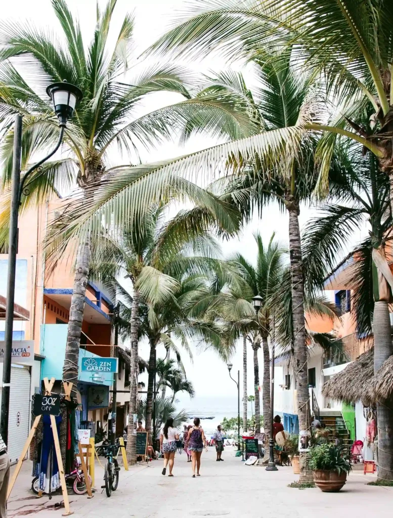 Palm-lined street in Centro leading toward the main beach and showcasing the town's walkable atmosphere.