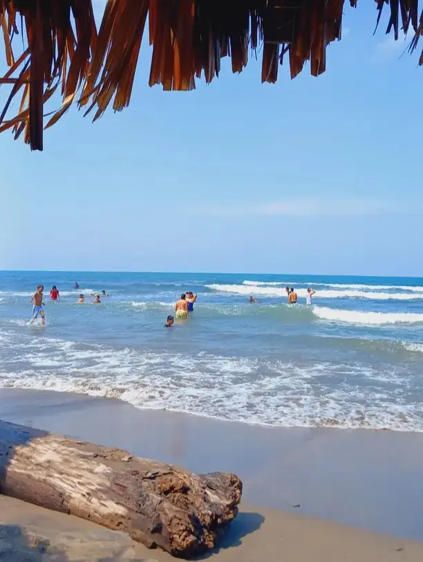 Visitors enjoying gentle waves and a wide sandy shoreline at Playa Norte on Riviera Nayarit's Pacific coast.