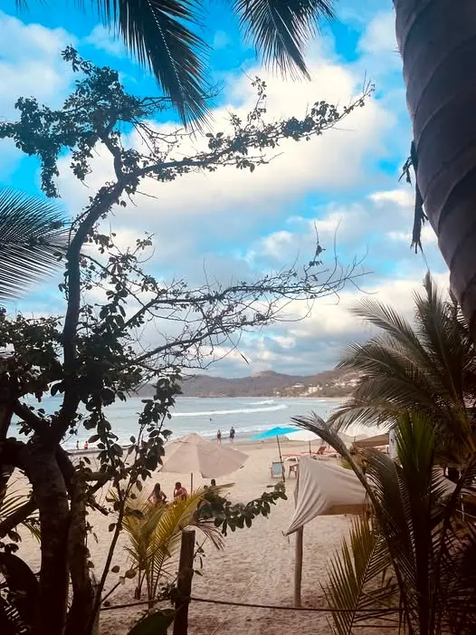 View across the main beach toward the South Side with palm trees, beach umbrellas, and rolling Pacific waves.