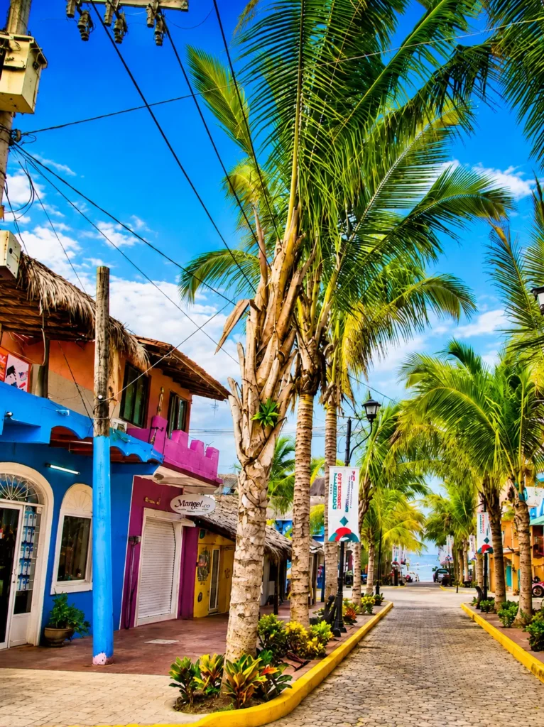 A colorful palm-lined street in Sayulita featuring boutique shops, tropical landscaping, cobblestone pathways, and ocean views.